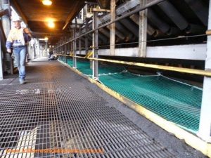 Green Conveyor Safety Net Mine Site